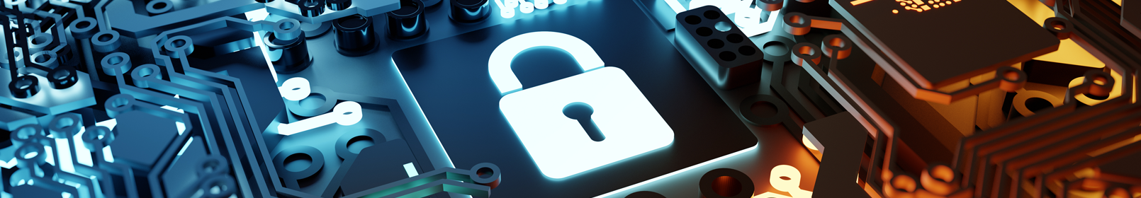 Cyber secure IT Rental