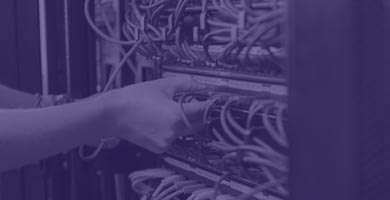 Extensive fleet of IT rentals